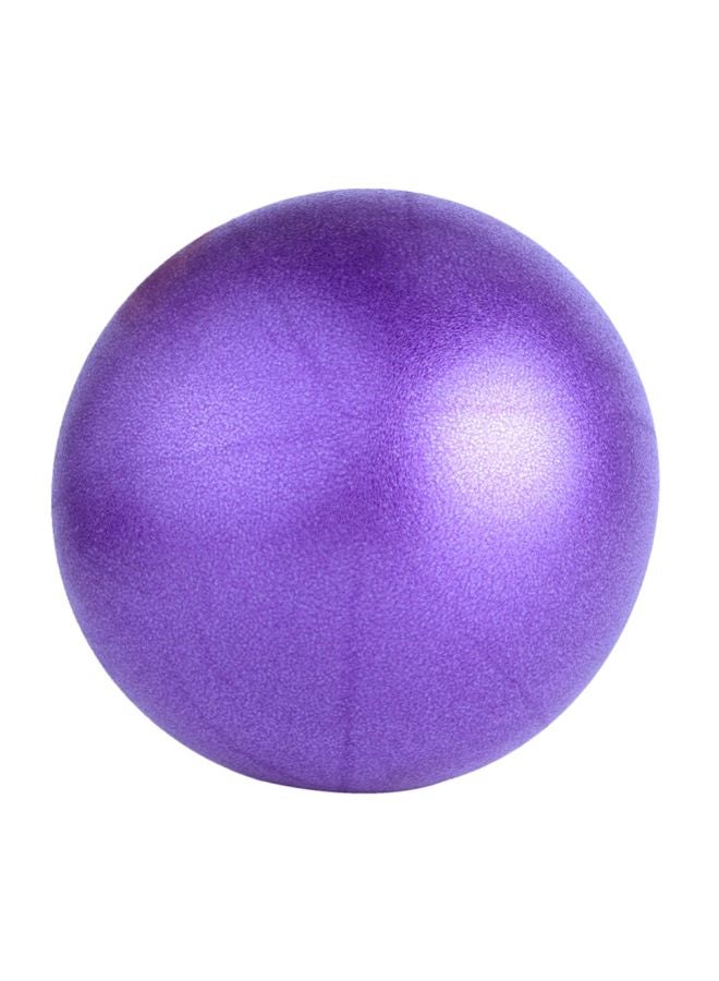 Anti Slip Massage Swiss Ball 25cm