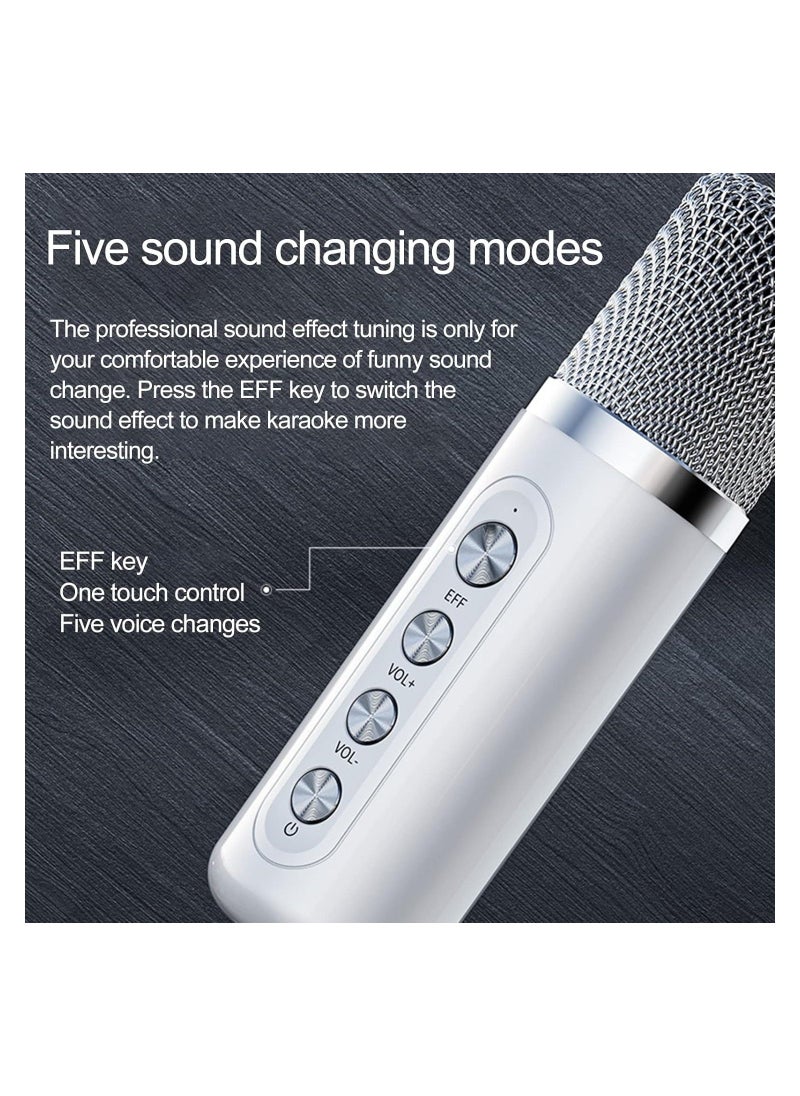 Set Bluetooth Speaker with Microphone 5.0 USB Charging Wireless Speakers with Bluetooth Surround Sound Portable Speaker for Smart TV Microphone with Speaker for Singing Red