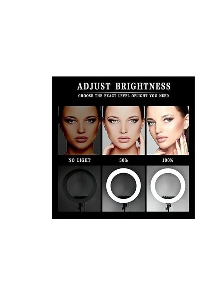 21 inch Professional Big LED Selfie Ring Light With 3 Mount Phone Holders For Reels Photo Shoot Live Stream Makeup Videos