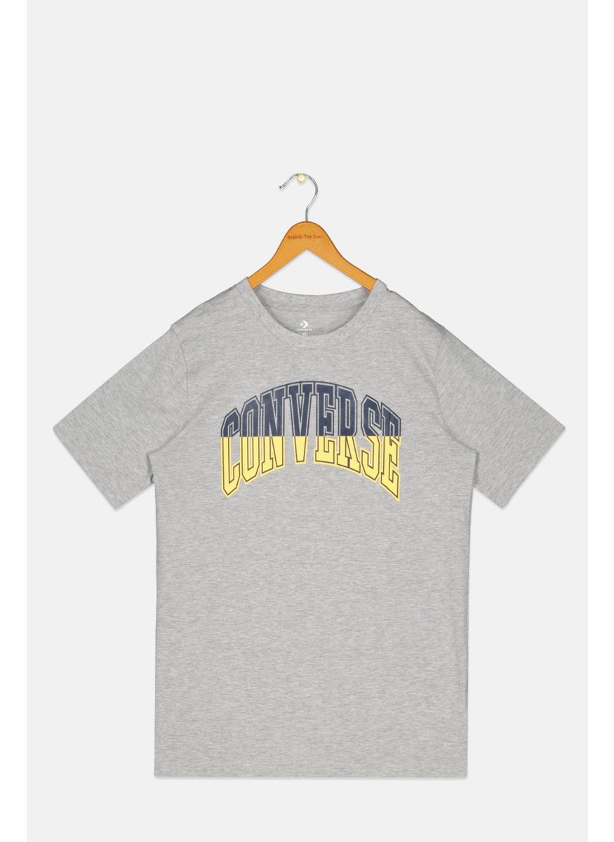 Kids Boy Brand Logo T-Shirt, Grey Combo