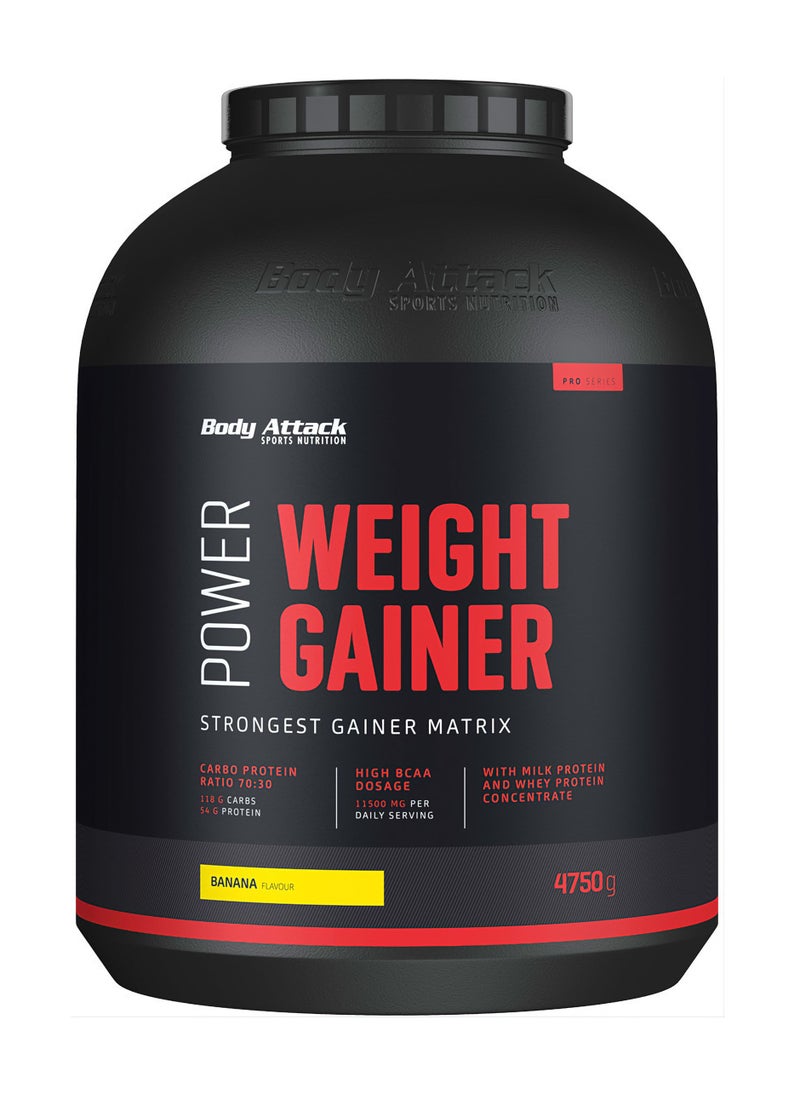 Power Weight Gainer 4.75Kg Banana