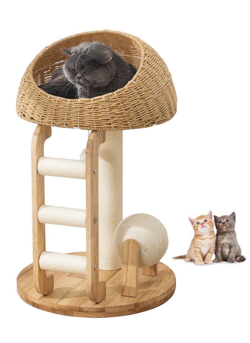 Cat Tree Tower, Cat Bed with Toy, Cat Furniture Scratching Tree for Indoor Cat, Manual Hand Woven Tall Wood Cat House,Includes 45cm large cat bed with 15cm Cat scratching ball toys,New Cat Condo Unique Cat Gift