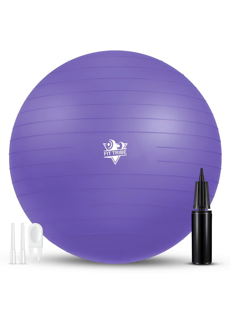 Yoga Ball Anti-Burst, Slip-Resistant Exercise Ball with Air Pump for Pilates, Balance Training, Stability, and Pregnancy - Supports 500KG, Fitness Gym Equipment (Purple)