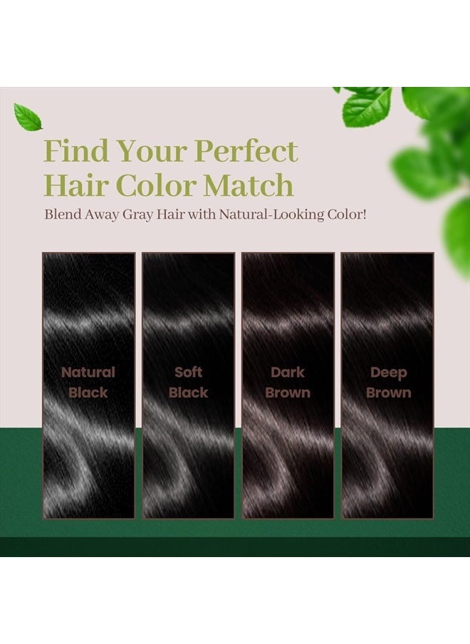 Hair Color Cream, Ammonia-Free (Deep Brown)