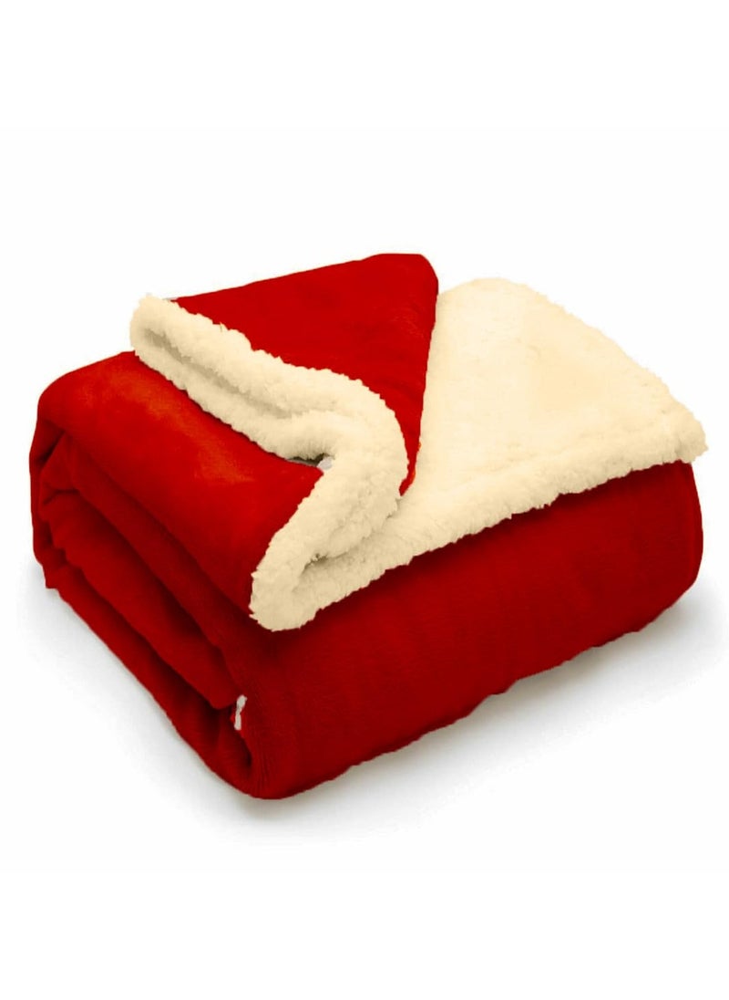 Sherpa Bed Blanket King Size, Double Plush Reversible Fleece, Machine Washable, Warm and Cozy for Bed u0026 Sofa (240x220 cm)