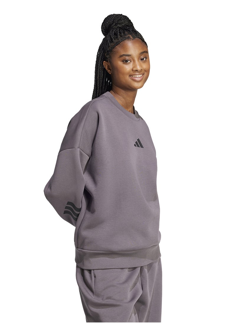 Future Icons3 Stripe Sweatshirt