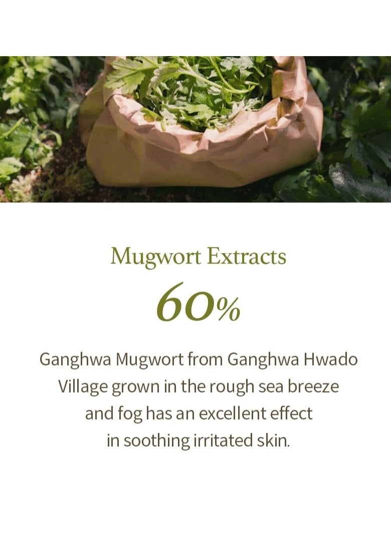 I'm from Mugwort Gel Cleanser 150ml, Mugwort 60%, Calming, Soothing, Mild low pH Korean Face Wash for Sensitive Skin, Irritated Skin, Herbal, Hypoallergenic, Vegan