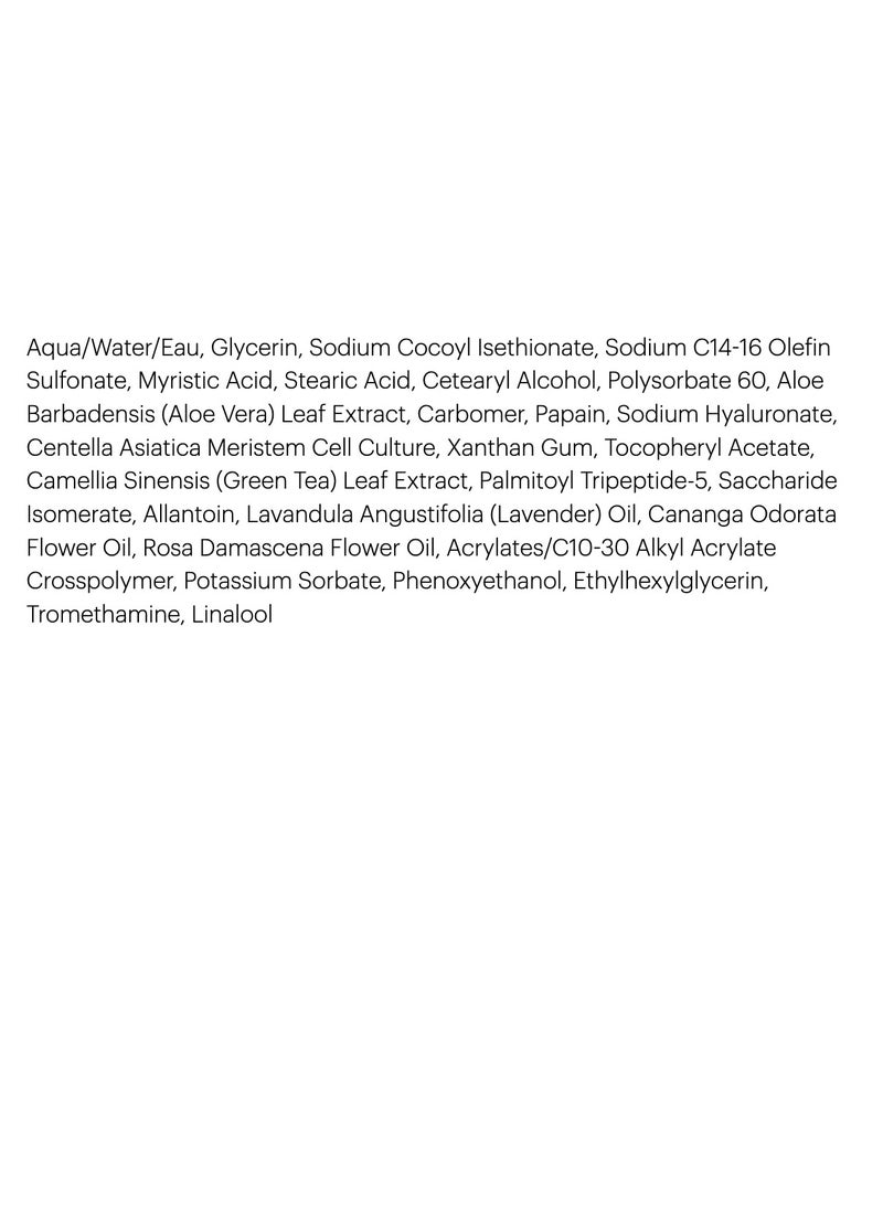 Glo Skin Beauty Phyto-Active Cream Cleanser | Rinses Away Impurities for Improved Radiance
