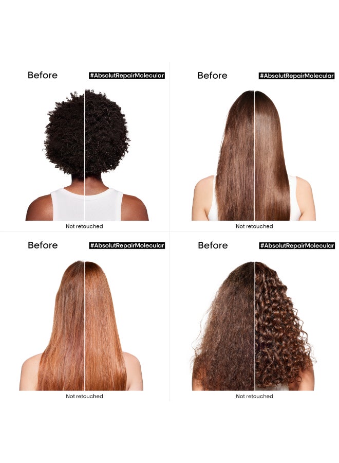 Absolut Repair Molecular Leave-In-Mask Heat Protectant For All Damaged Hair Types 50ml