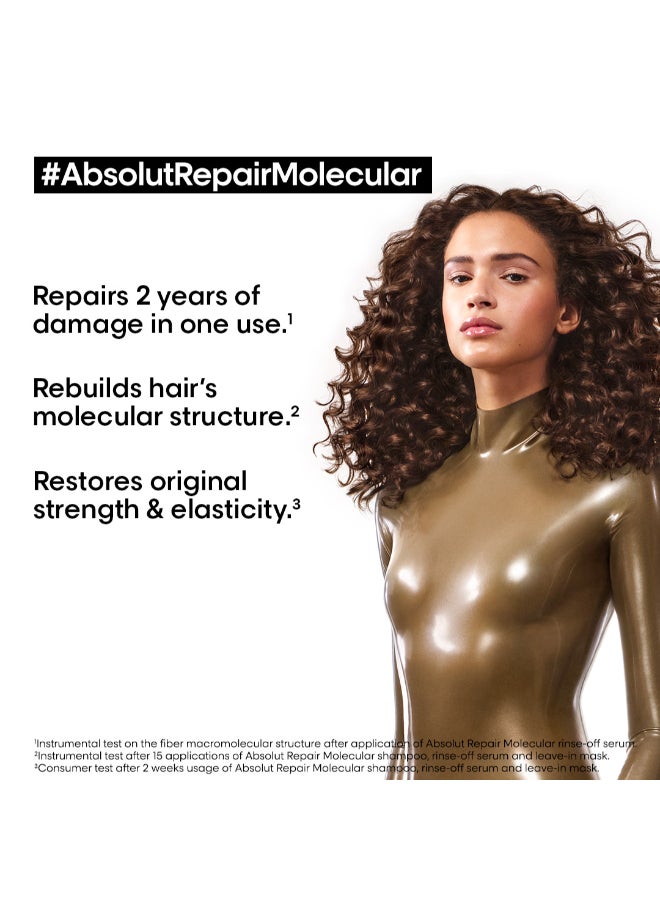 Absolut Repair Molecular Leave-In-Mask Heat Protectant For All Damaged Hair Types 50ml