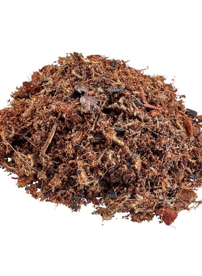 Leap Habitats Living Earth Substrate - Bioactive Ready Terrarium Bedding Mix for Reptiles, Frogs, Snakes, Geckos, and Lizard Habitats, Supports Microfauna with Coconut Coir, Sphagnum, Fir Bark