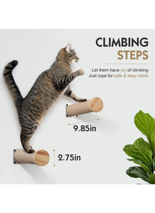 LSAIFATER Cat Hammock Wall Mounted Large Cat Perch with 2 Cat Wall Steps - Cat Wall Shelves for Indoor Cats or Kitty - Premium and Modern Cat Furniture for Sleeping, Playing, Climbing (Brown)