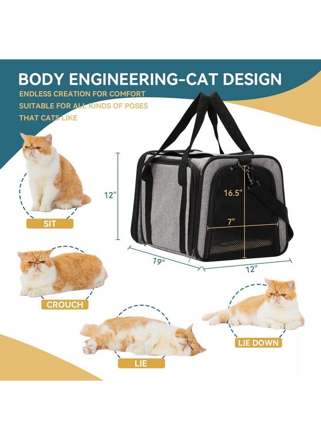 Petsfit Expandable Pet Carrier for Cat Or Puppy Up to 18 Pounds, Square Extension Add More Space, Washable Soft Pet Carrier for Home Outdoor Travel, 19