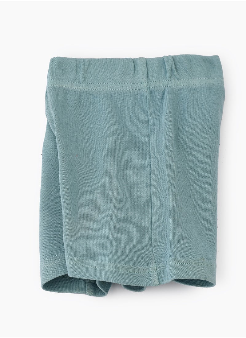 Soft Mint Green Knitted Cotton Shorts for Boys