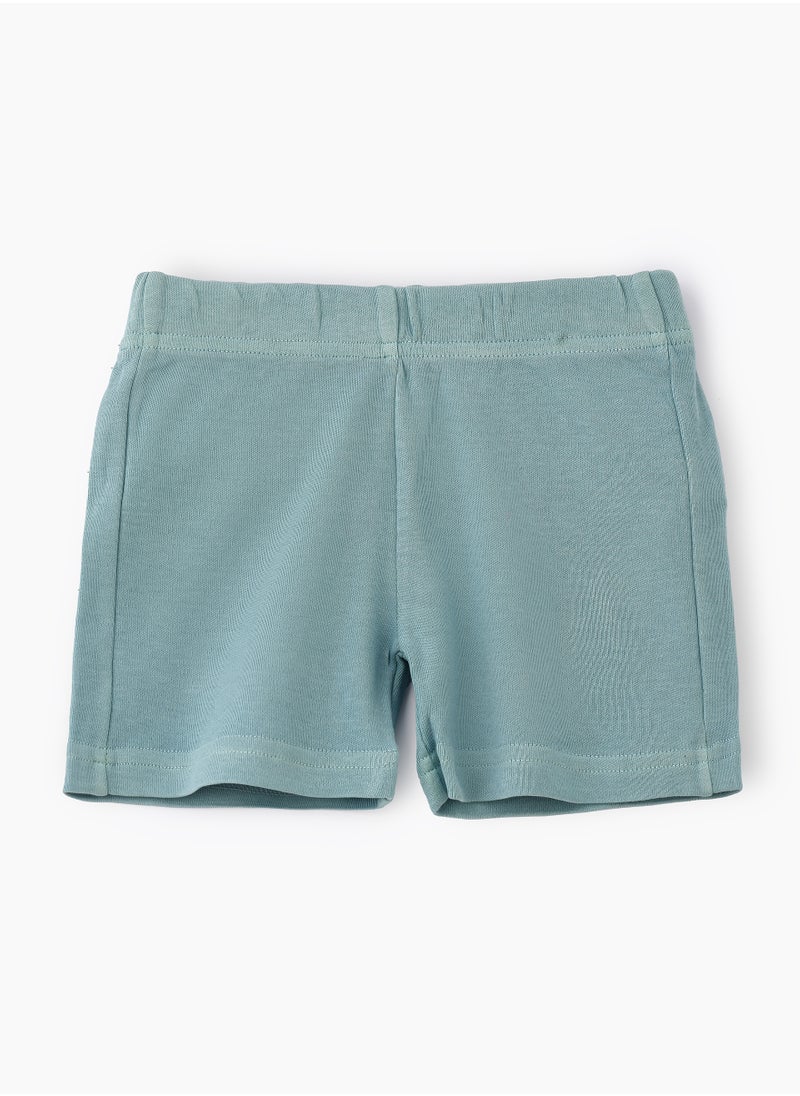 Soft Mint Green Knitted Cotton Shorts for Boys