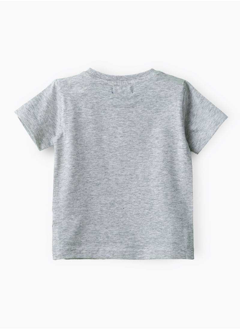 Boys' Grey Camping Tortoise Graphic Cotton T-Shirt