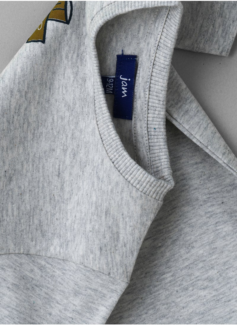 Boys' Grey Camping Tortoise Graphic Cotton T-Shirt