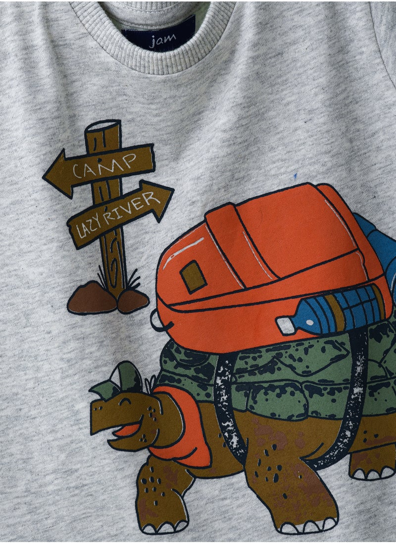 Boys' Grey Camping Tortoise Graphic Cotton T-Shirt