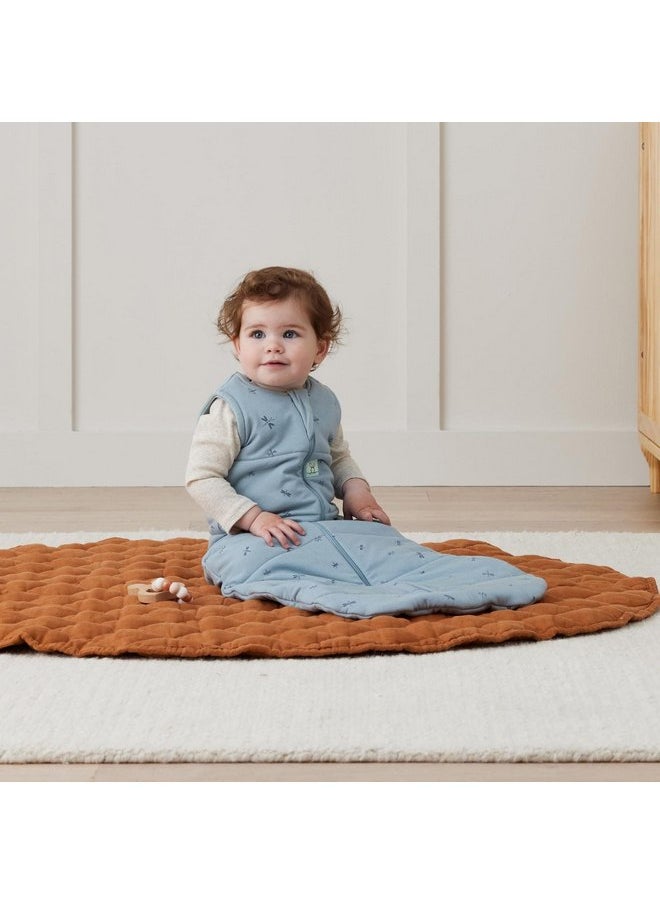 ergoPouch 2.5 Tog Jersey Sleeping Bag - Arms-Out Baby Sleep Sack - Soft, Breathable & Comfortable (8-24 Months, Dragonflies)