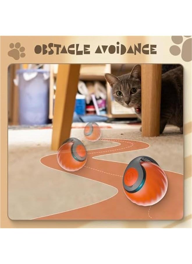 Interactive Cat Ball Toy, 2024 Cat Rolling Ball Touch Motion Activated Rolling Ball with Type C Cord and Tail Interactive Cat Toy Balls for Indoor and Outdoor Cats Dogs Cat Toys (Blue, 2Pack)