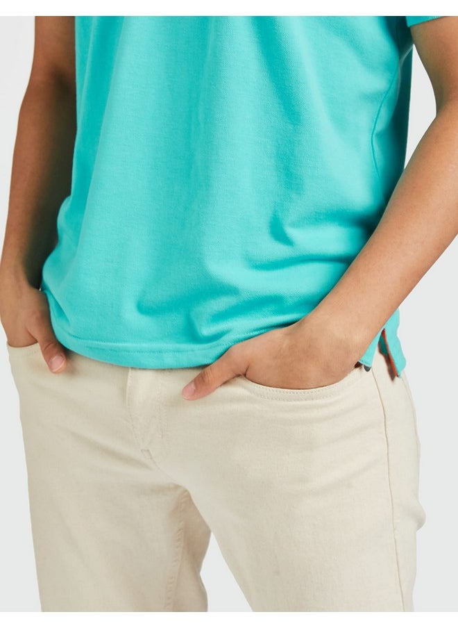 Allen Solly Men's Solid Regular Fit Polo (AMKP317G04239_Mint L)