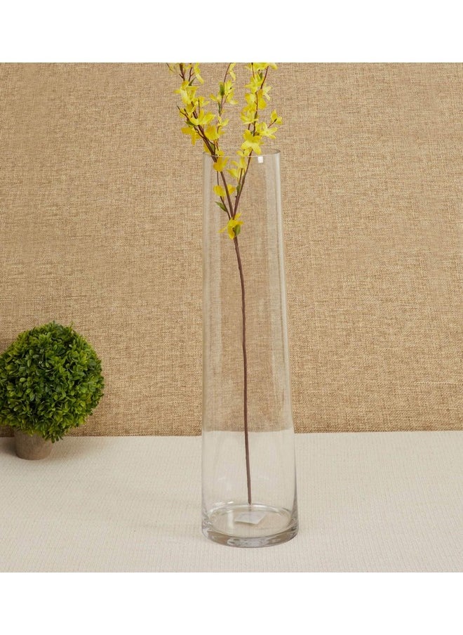 TIED RIBBONS Glass Round Vase For Flowers And Plants Living Room Home Décor Table Centerpiece Wall Shelf Home Decoration (8 X 29 Cm, Clear Without Flowers, Clear)