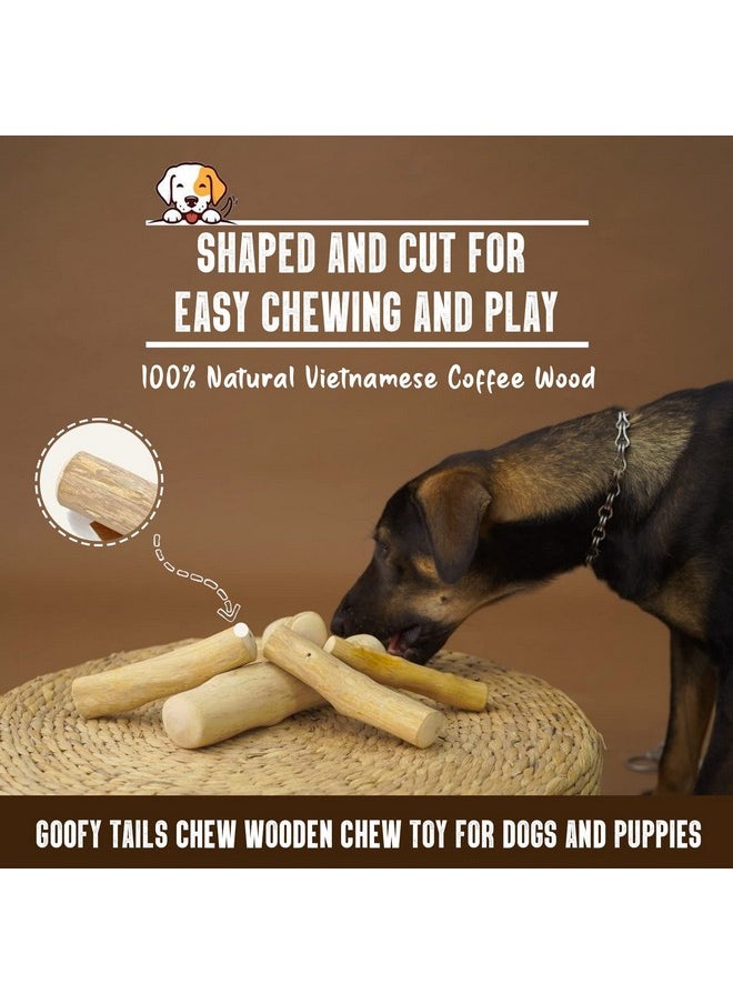 Goofy Tails Coffee Wood Dog Toys Combo | Natural, Splinter Free, Caffeine Free Dog Chew Toys Puppy Toy| Training Chew Toys for Dogs and Aggressive Chewers| Dog Toy (Medium, 2 Pieces)