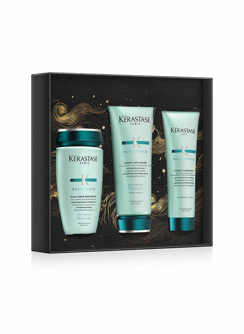 Resistance Repairing Set for Damaged Hair