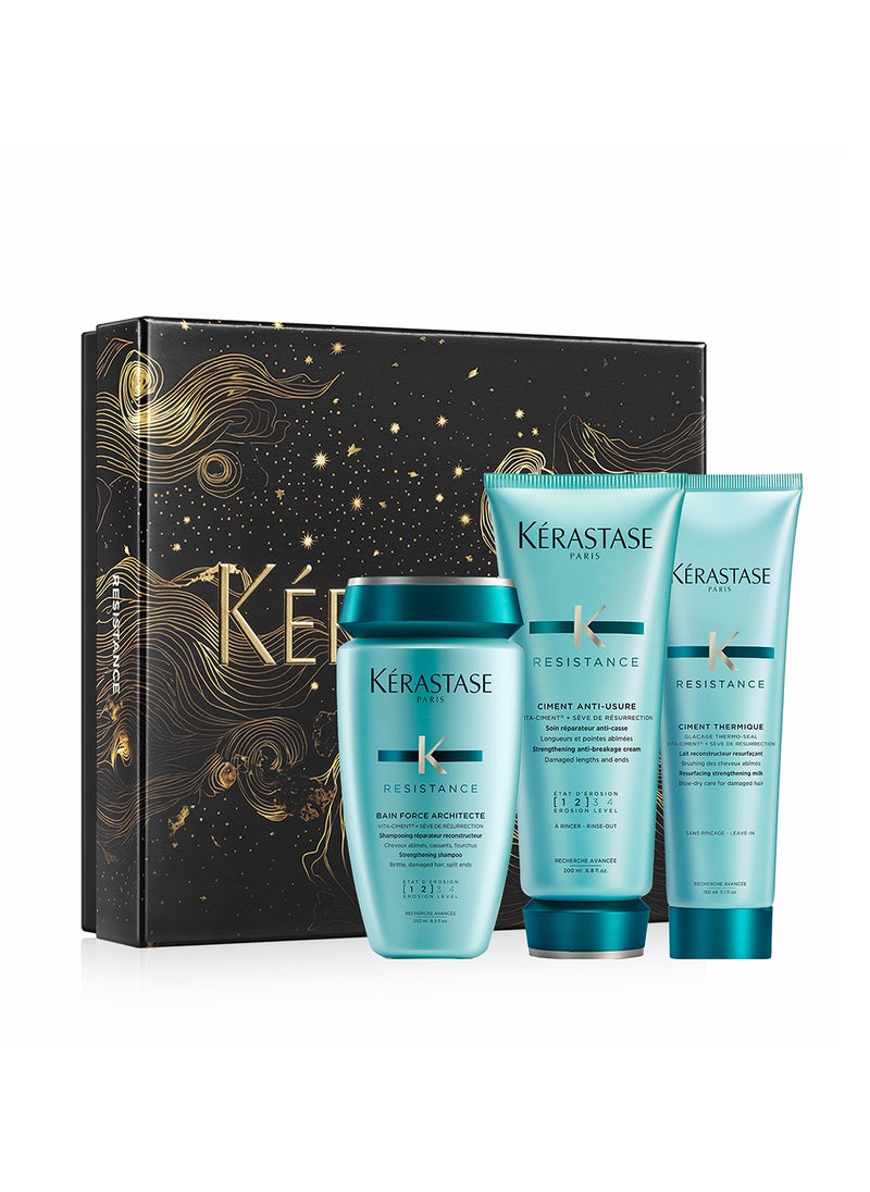 Resistance Repairing Set for Damaged Hair