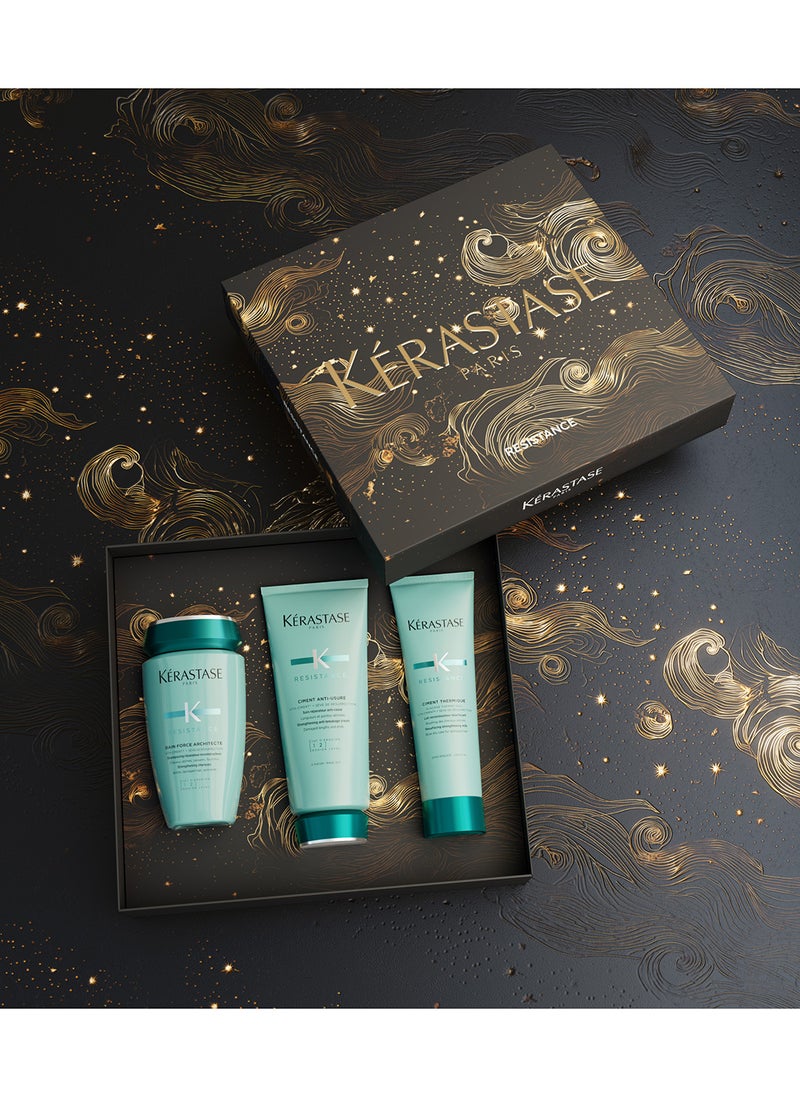 Resistance Repairing Set for Damaged Hair