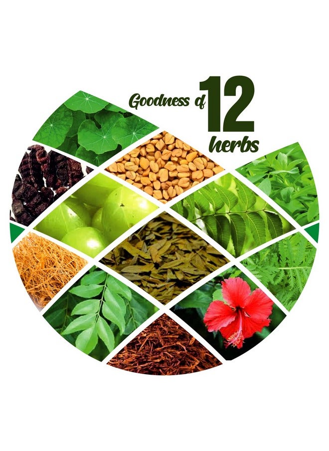 VCare Herbal Hair Wash And Conditioner For Men And Women| 100% Natural With 12+ Herbs Amla, Shikakai, Bhringraj, Hibiscus Powder For All Hair Type - 100G (Pack Of 4 Count)