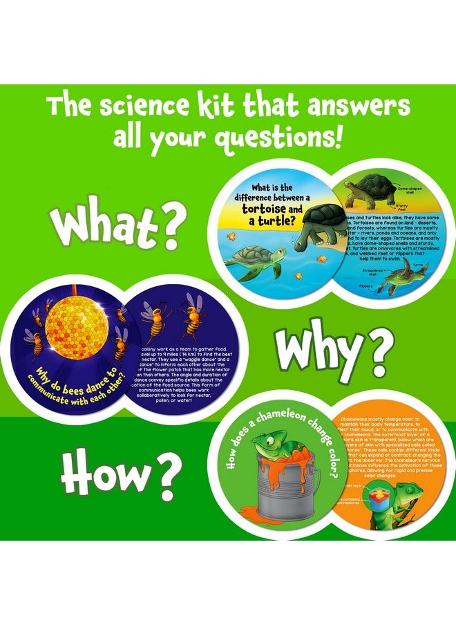 Skillmatics Flash Cards - Science Snippets Animals, Learning Resources & Educational Toys for Boys & Girls, Gifts for Ages 7, 8, 9 & Up, 70+ Cards