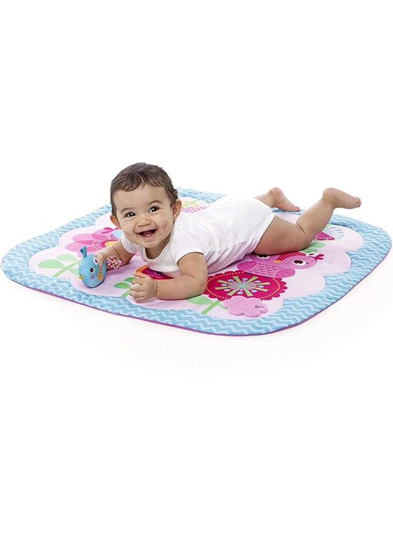 Factory Price Birds Printed Activity Play Gym With Removable Toys