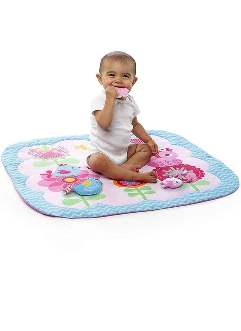 Factory Price Birds Printed Activity Play Gym With Removable Toys