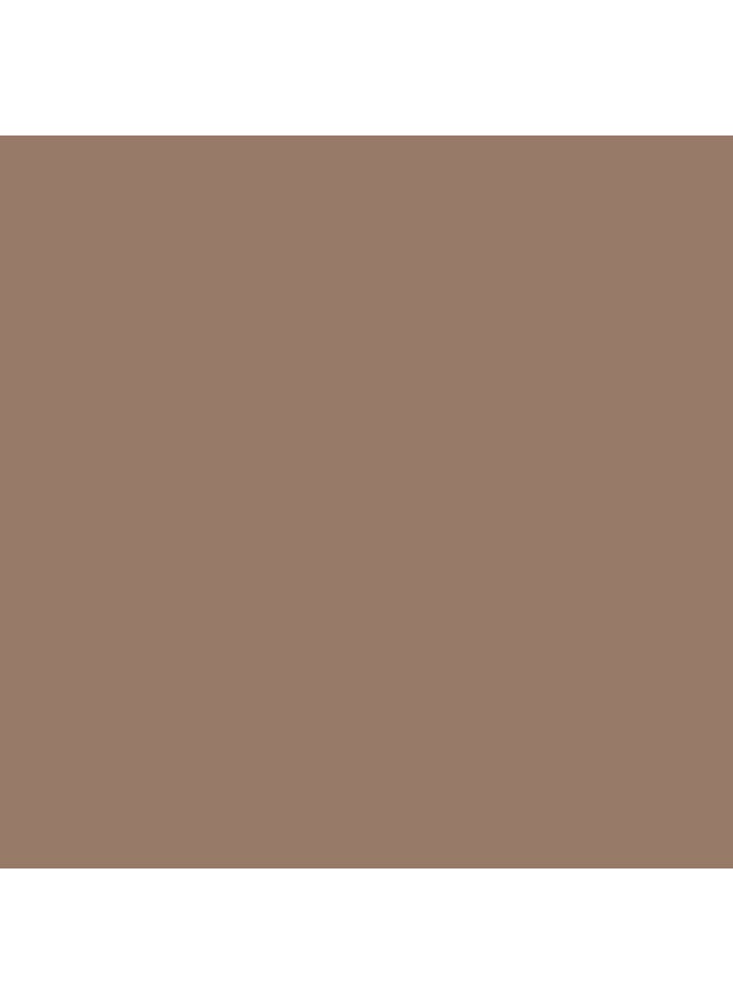 Golden Oasis Brow Perfection Powder 01