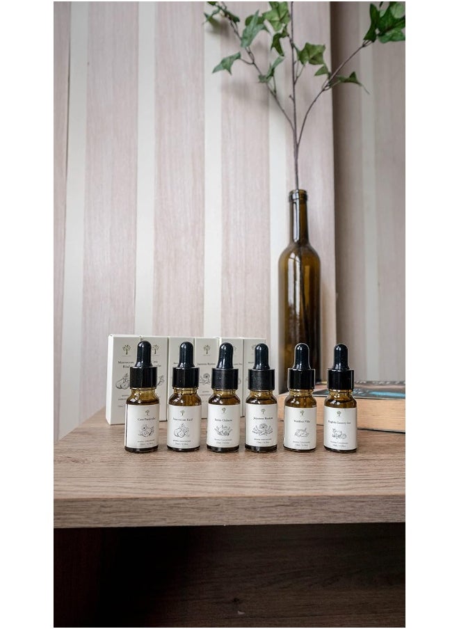 Top 4 Hotel Blend Essential Oils Set, 4 Pcs Pure Essential Oils for Diffuser for Home, Humidifier, Aromatherapy, 10ML