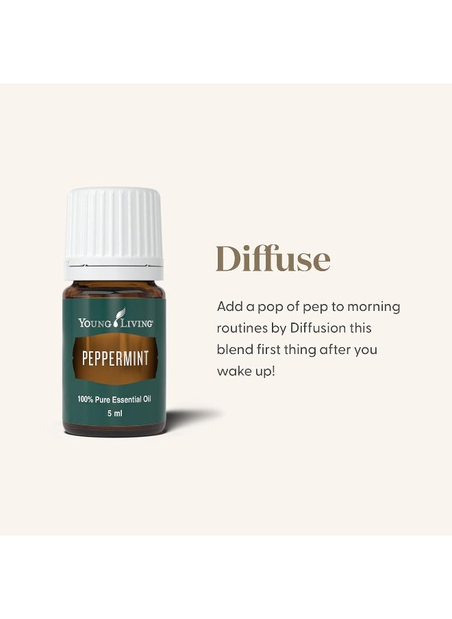 Young Living Essential Oil Peppermint 5 ml
