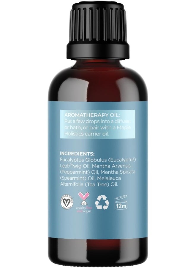 Breathe Blend Essential Oil for Diffuser - Invigorating Breathe Essential Oil Blend with Eucalyptus Peppermint Tea Tree and Mint Essential Oils for Diffusers for Home and Shower Aromatherapy