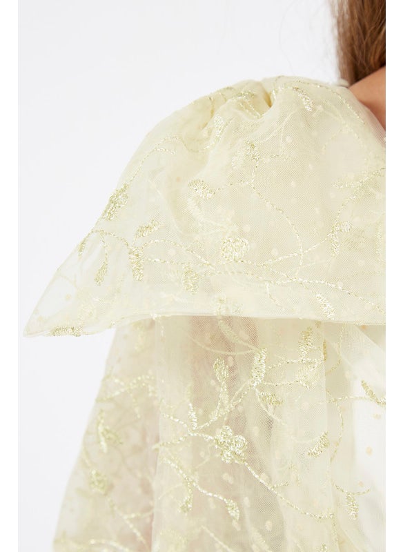 Multi shaded Tulle Layered Frock