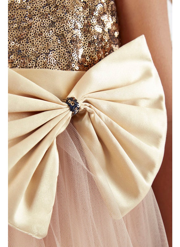 Sequins Long Frock With Tulle Flare