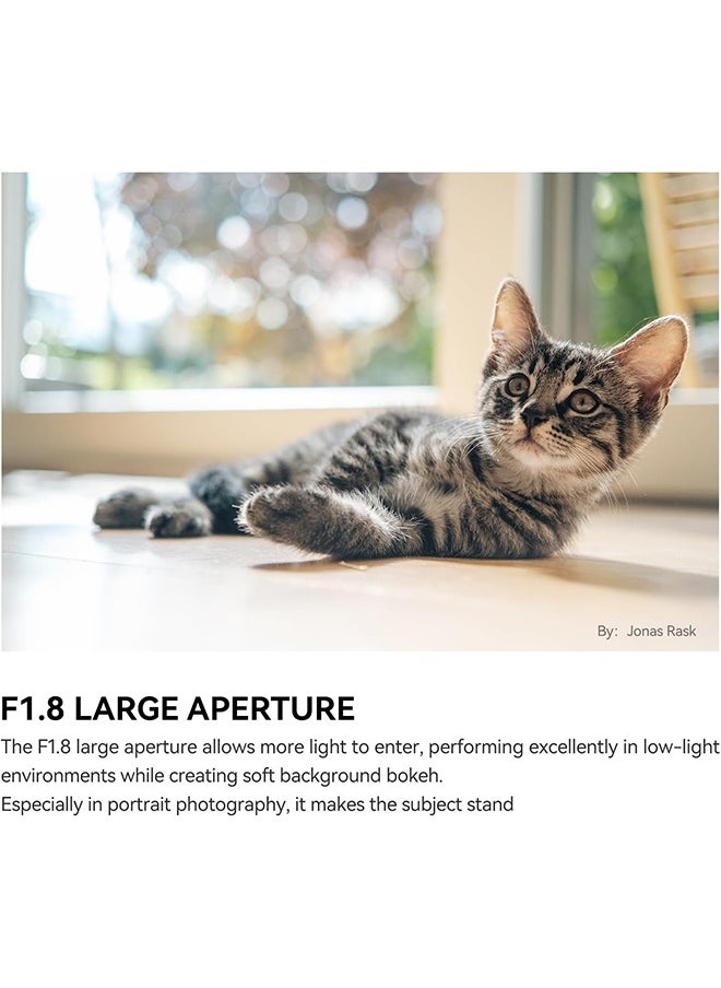 TTArtisan Auto Focus 35mm F1.8 Mark II APS-C Lens, 35mm F/1.8 AF Portrait Lenses for Fuji X-A2 X-A5 X-A7 X-H1 X-T100 X-T20 X-T3 X-T30 X-T30II X-T4 XT-50 X-Pro3 X-E3 X-E4 X-S10 X-M1 X-M5