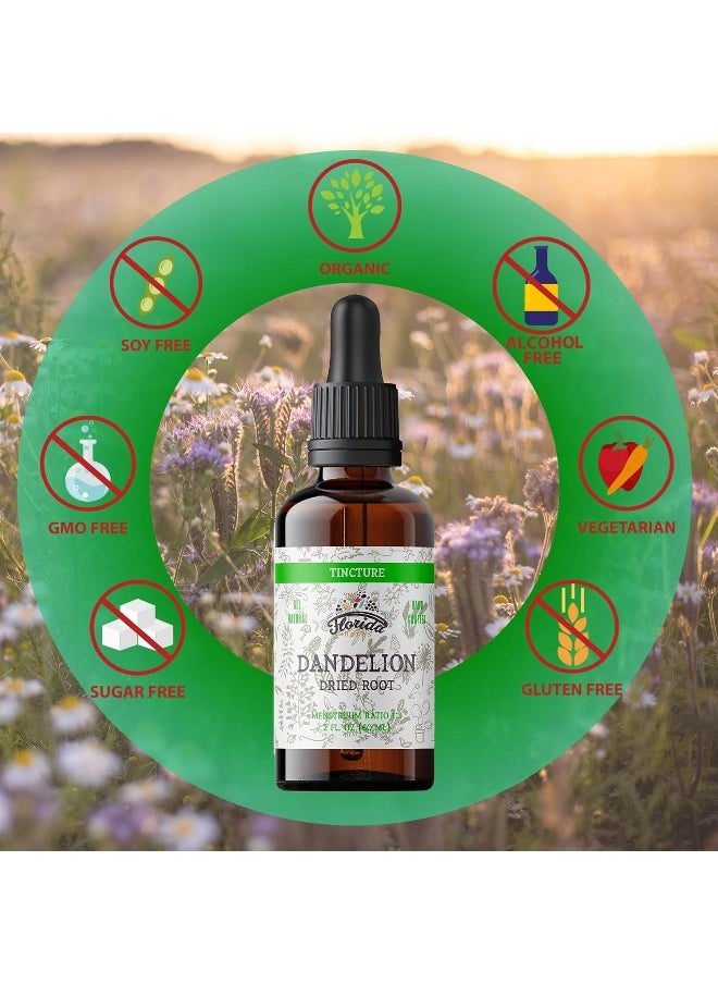 FLORIDA HERBS Dandelion Root Tincture Organic Dandelion Extract (Taraxacum Officinale) Health Supplement, Non-GMO in Cold-Pressed Organic Vegetable Glycerin 2 oz, 685 mg