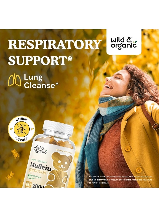 Wild & Organic Mullein Gummies - Daily Dietary Supplement for Respiratory, Digestive Support - Natural Sleep Aid, Immune Booster - Vegan, Non-GMO Verbascum Thapsus Herbal Extract - 2000mg, 60 Chews