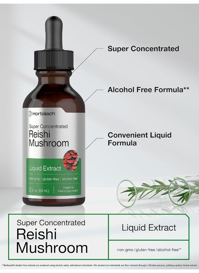 Reishi Mushroom Supplement | 2 fl oz Liquid Extract | Ganoderma Lucidum Tincture | Vegetarian, Non-GMO, Gluten Free | by Horbaach