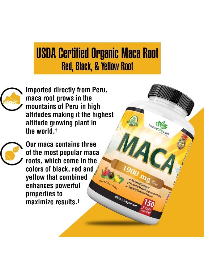 Organic Maca Root Black, Red, Yellow 1900 MG per Serving - 150 Vegan Capsules Peruvian Maca Root Gelatinized 100% Pure Non-GMO Supports Reproductive Health Natural Energizer