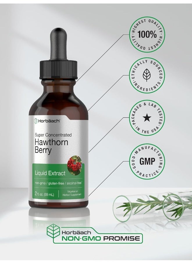 Hawthorn Berry Extract | 2 fl oz | Alcohol Free Hawthorne Liquid Tincture | Vegetarian, Non-GMO, Gluten Free | by Horbaach