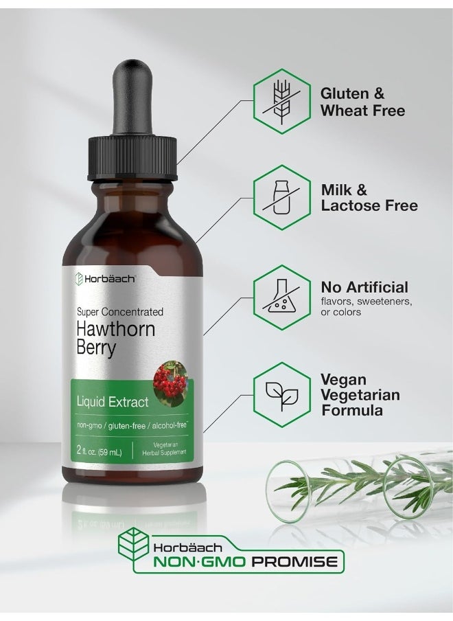Hawthorn Berry Extract | 2 fl oz | Alcohol Free Hawthorne Liquid Tincture | Vegetarian, Non-GMO, Gluten Free | by Horbaach