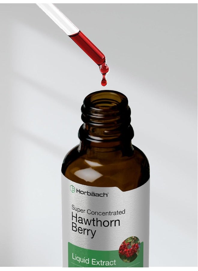 Hawthorn Berry Extract | 2 fl oz | Alcohol Free Hawthorne Liquid Tincture | Vegetarian, Non-GMO, Gluten Free | by Horbaach