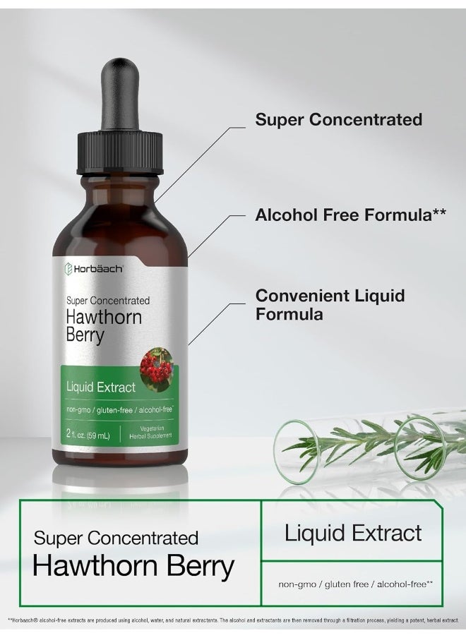 Hawthorn Berry Extract | 2 fl oz | Alcohol Free Hawthorne Liquid Tincture | Vegetarian, Non-GMO, Gluten Free | by Horbaach