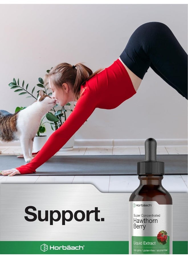Hawthorn Berry Extract | 2 fl oz | Alcohol Free Hawthorne Liquid Tincture | Vegetarian, Non-GMO, Gluten Free | by Horbaach